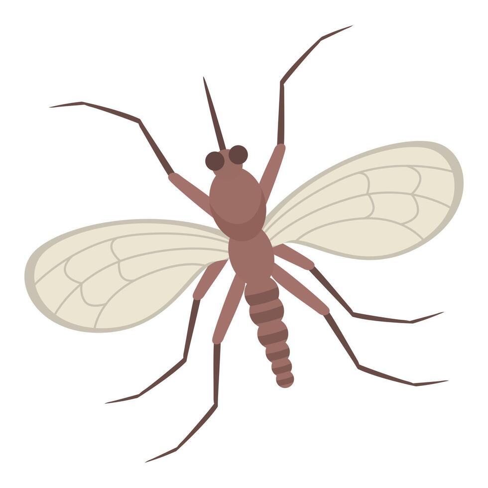 Mosquito spreading malaria and zika virus with striped body and big wings vector