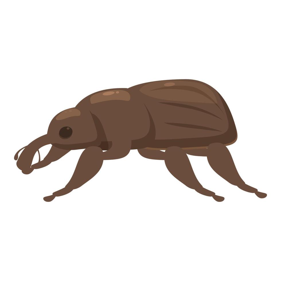 Brown beetle insect crawling with six legs vector