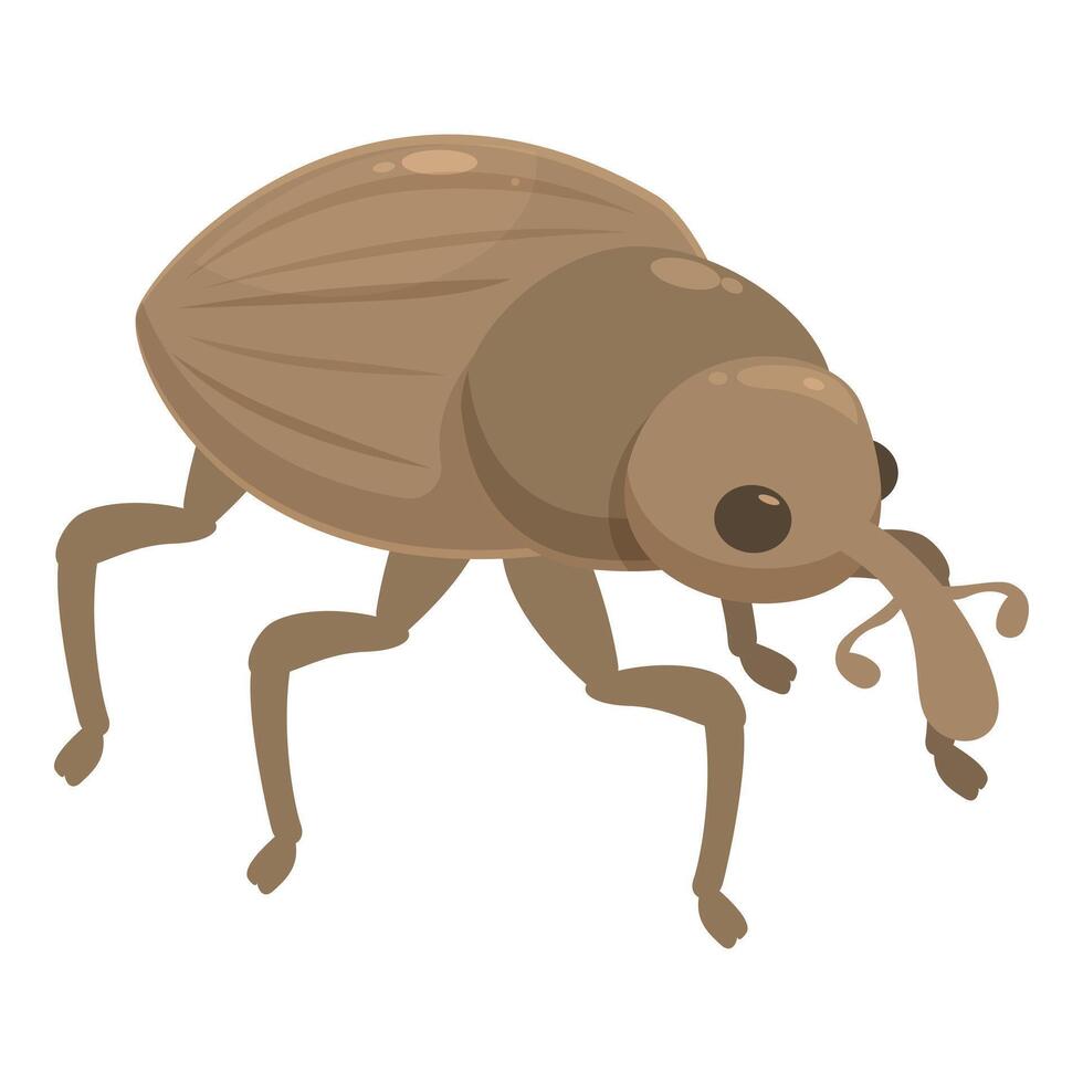 Brown weevil walking with long nose and big eyes vector
