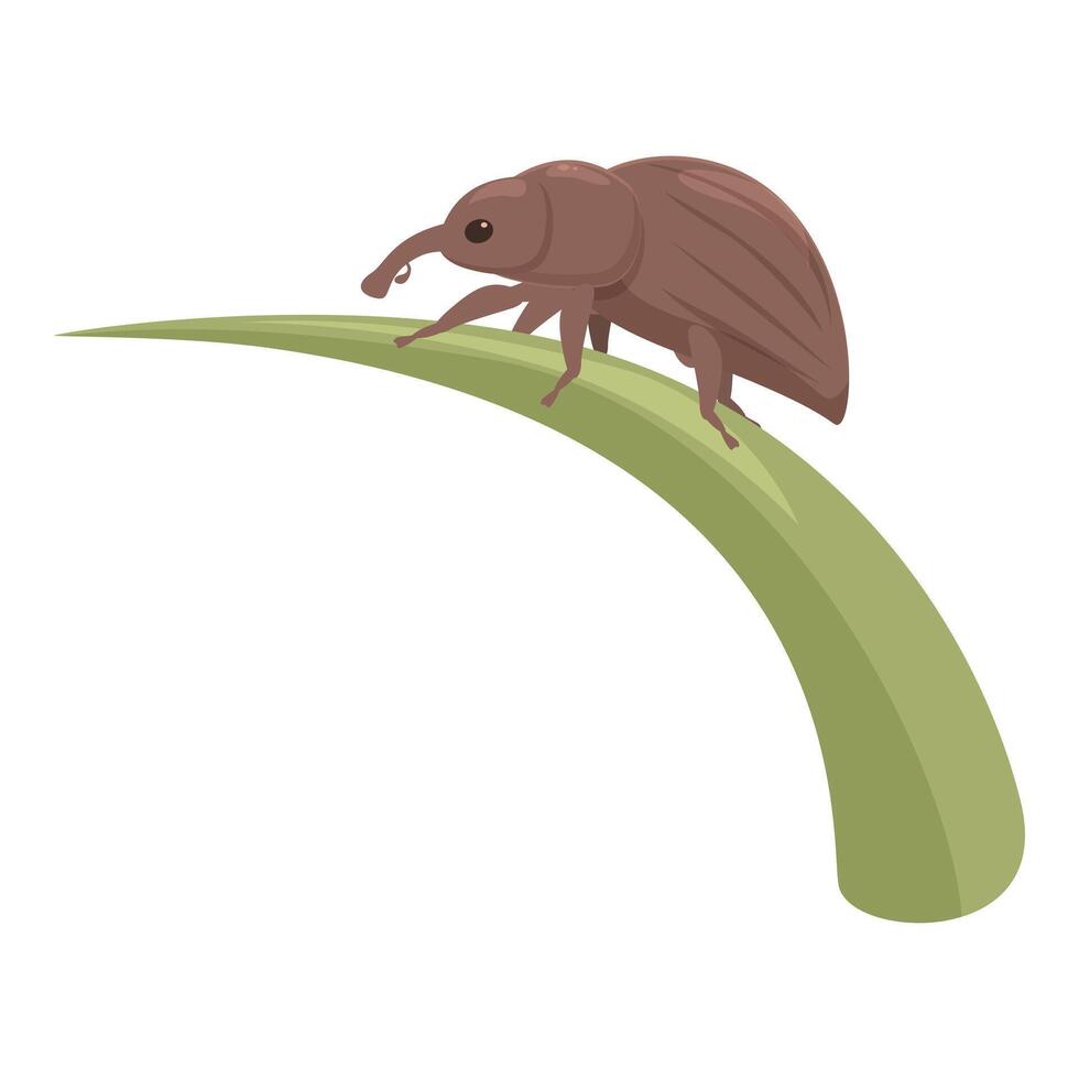 Brown weevil walking on green grass blade illustration vector