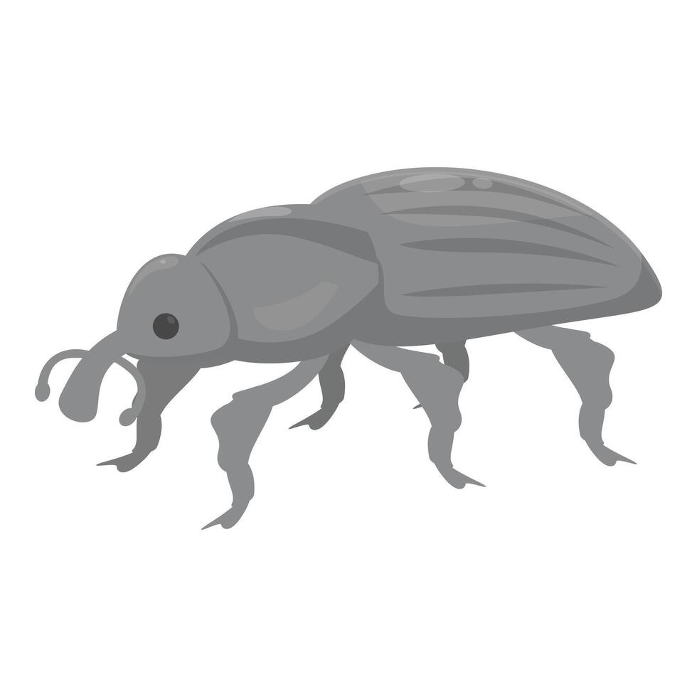 Gray beetle walking with its six legs vector