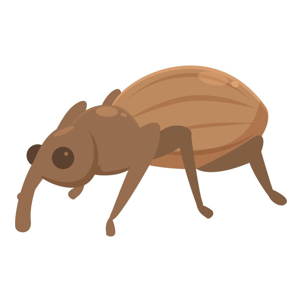 Brown weevil crawling with long nose and legs vector