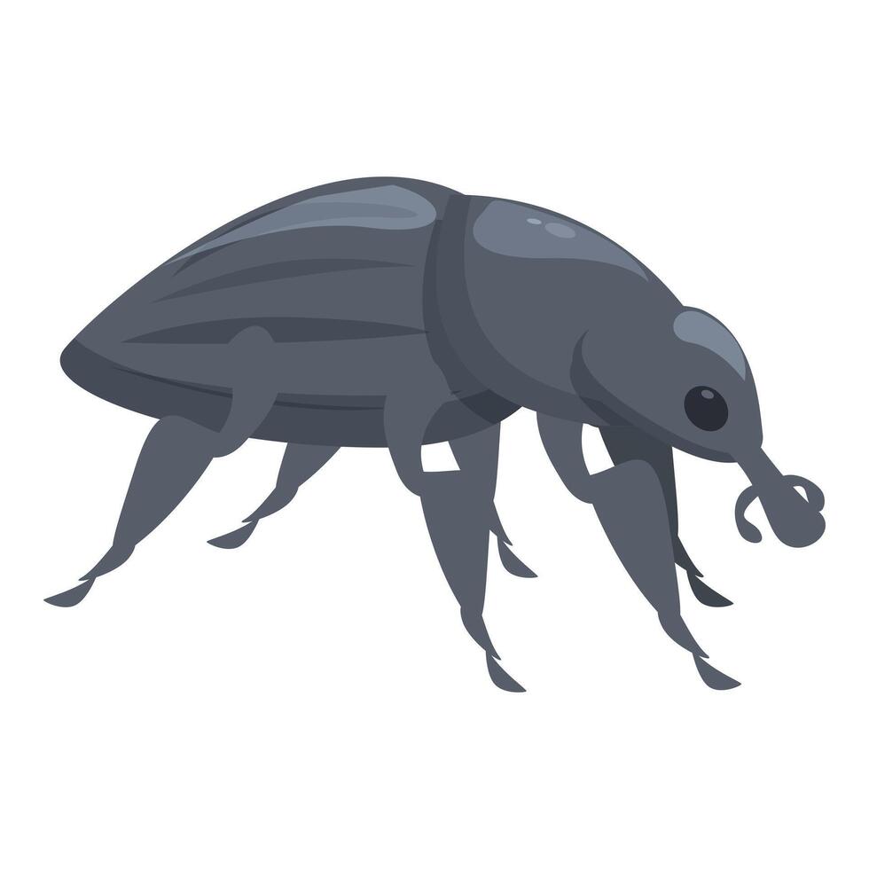 Gray weevil is taking a stroll vector