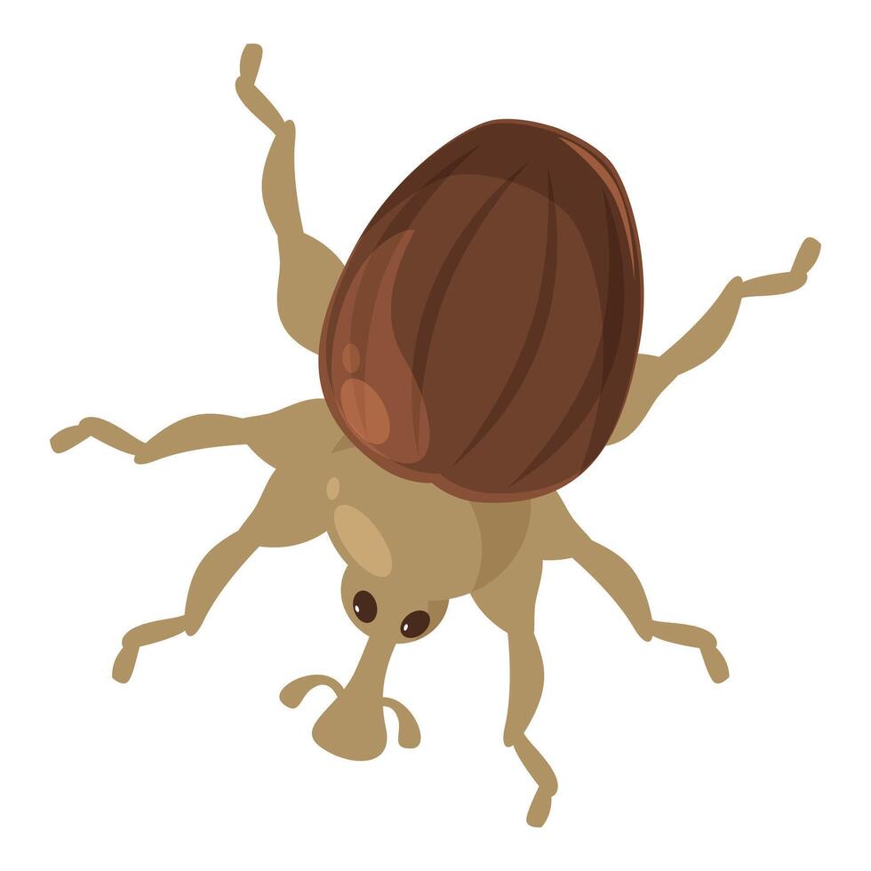 Big brown beetle crawling with legs outstretched illustration vector