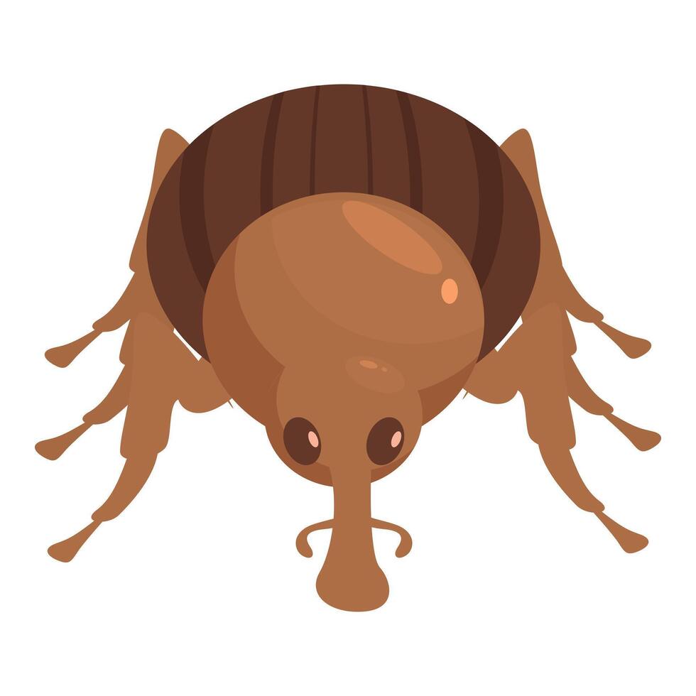 Brown weevil walking with long legs and head down vector