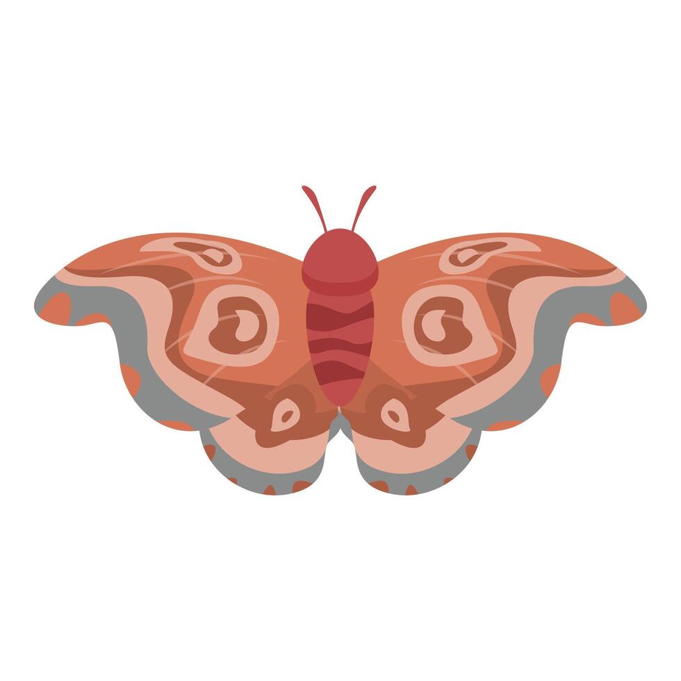 Beautiful red butterfly spreading its wings vector