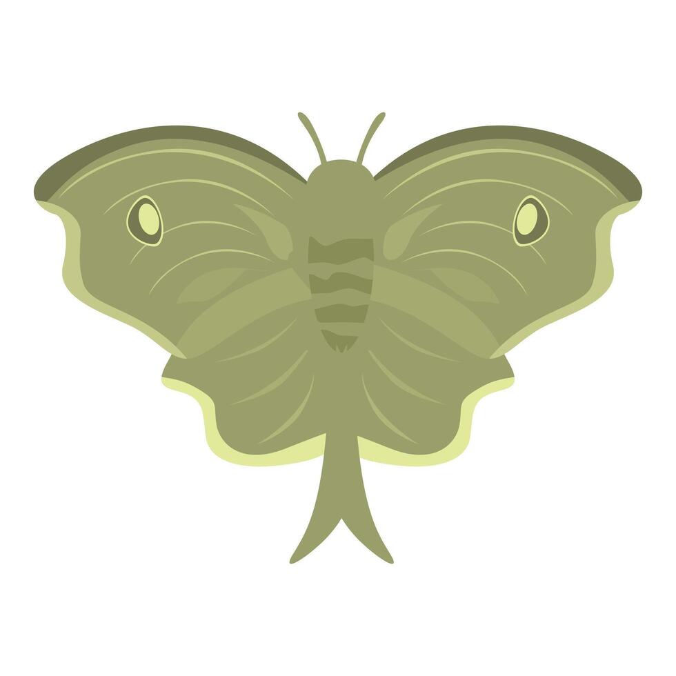 Green luna moth spreading its wings on white background vector
