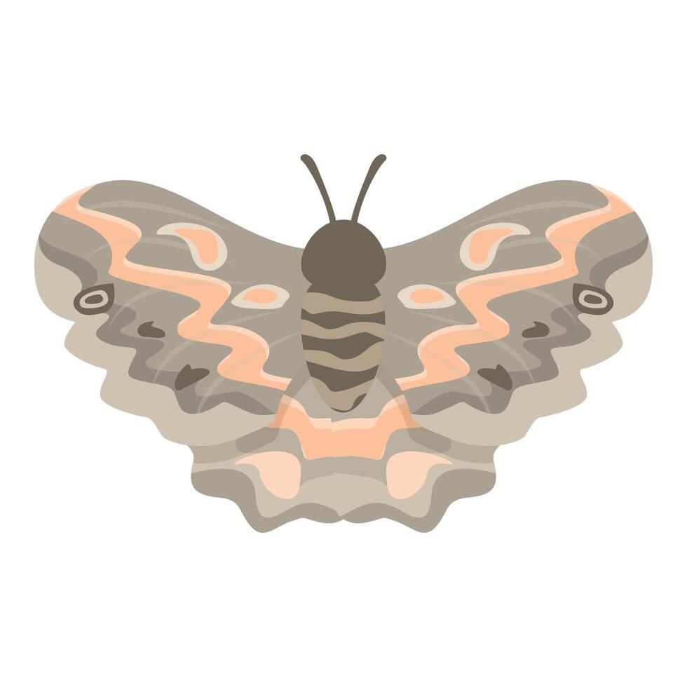Beautiful butterfly spreading its wings on white background vector