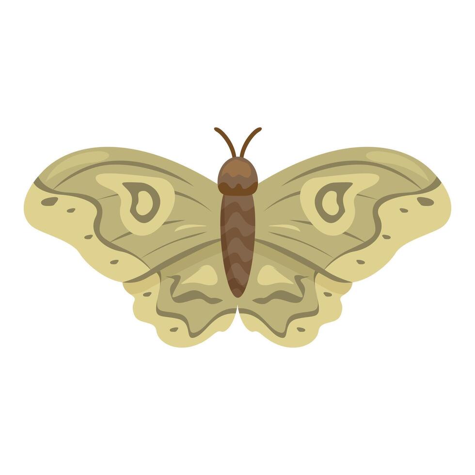 Giant silk moth spreading its elegant wings vector