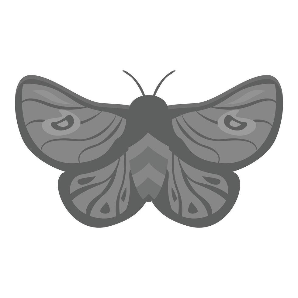 Big moth showing beautiful pattern on wings vector