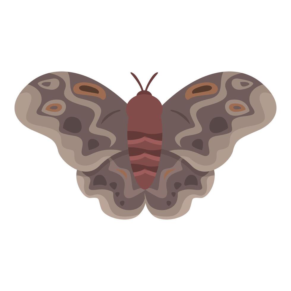 Brown butterfly with detailed wings is showing its beauty vector