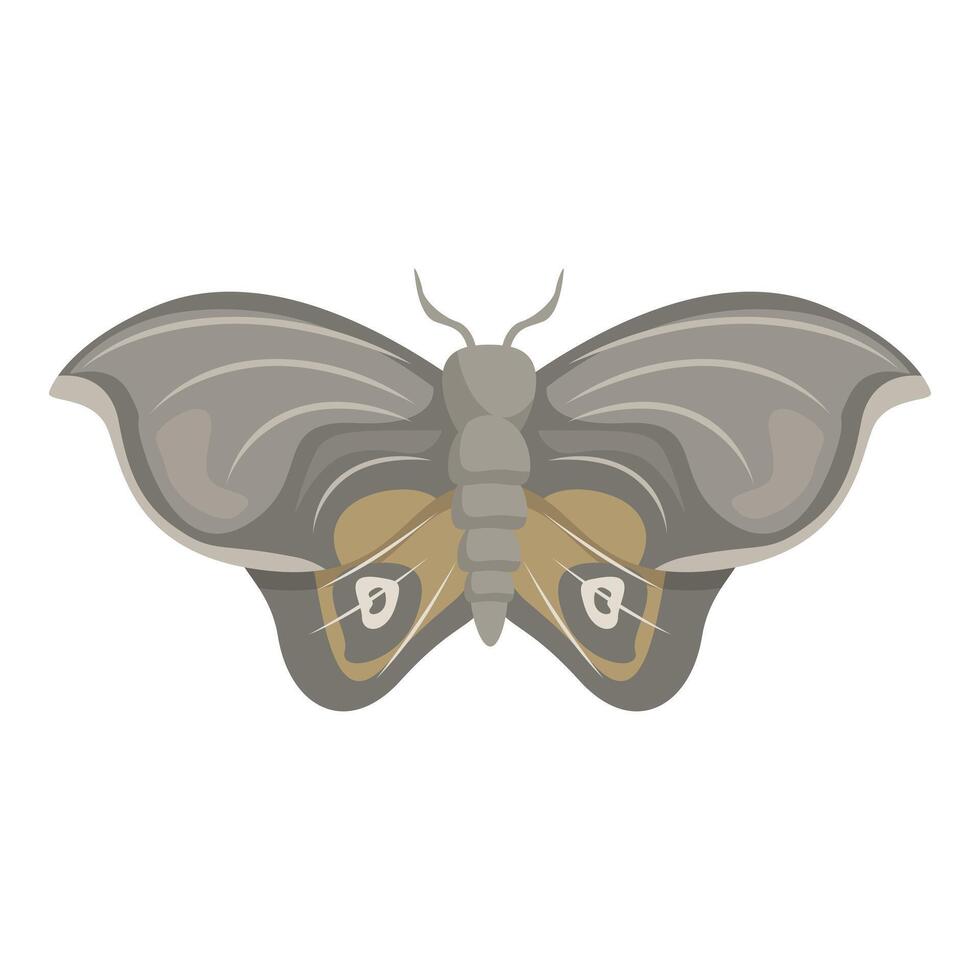 Grey tropical butterfly spreading its wings vector