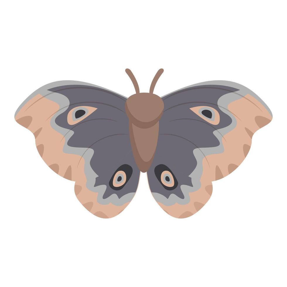 Beautiful butterfly with spread wings showing colorful pattern vector