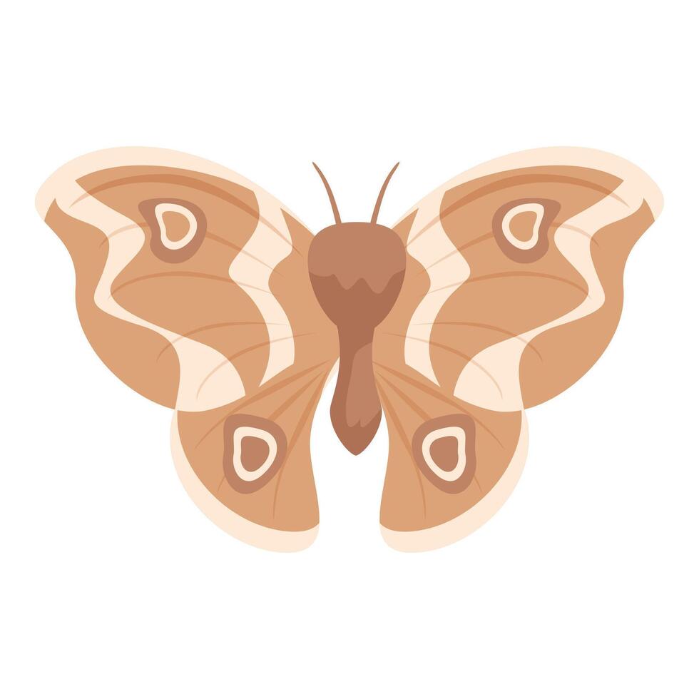 Brown butterfly is showing its delicate wings vector