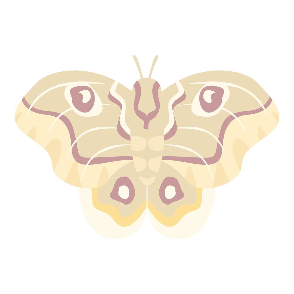 Giant silk moth spreading its wings on white background vector