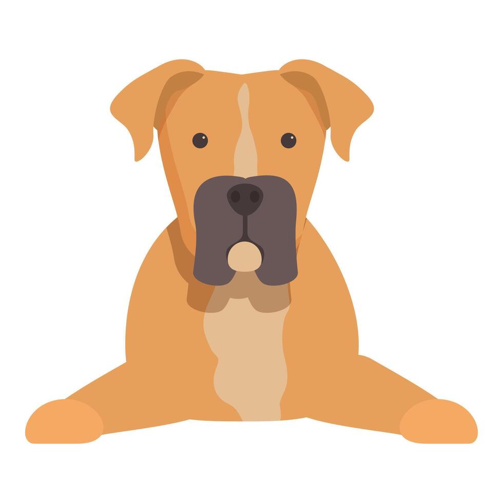 Cute boxer dog lying down looking forward illustration vector