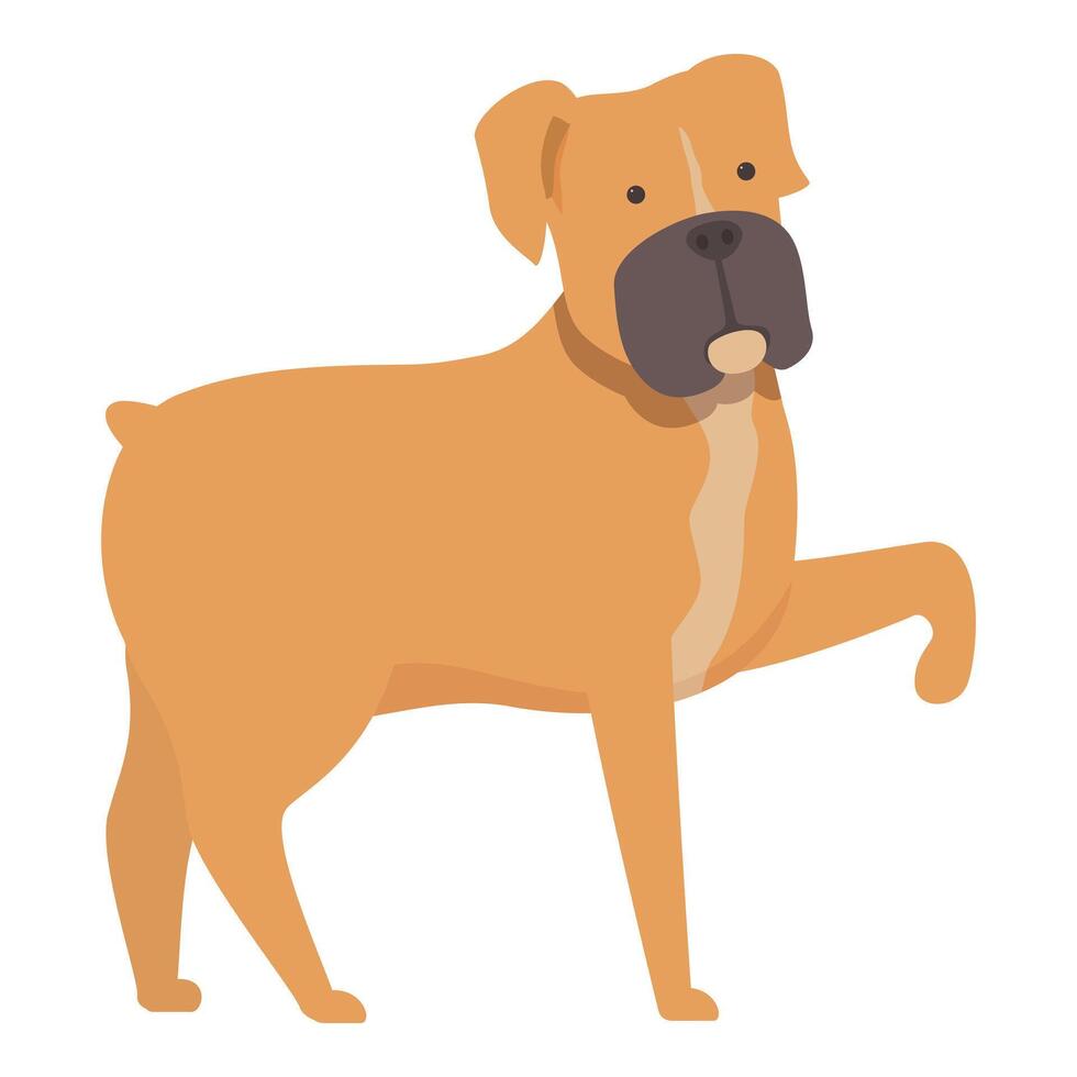 Boxer dog is standing and raising one paw vector