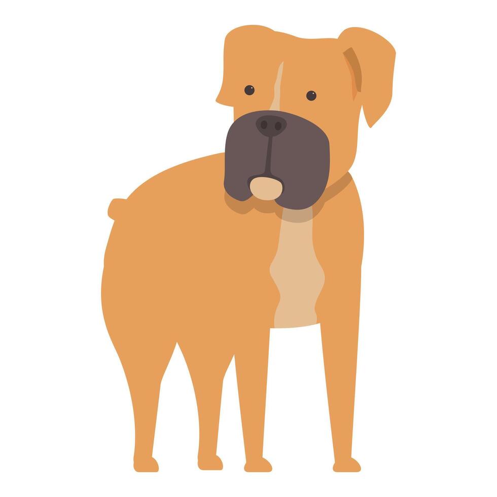 Brown boxer dog standing looking forward illustration vector