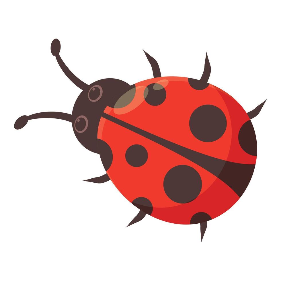 Cute ladybug crawling with black spots on its back vector