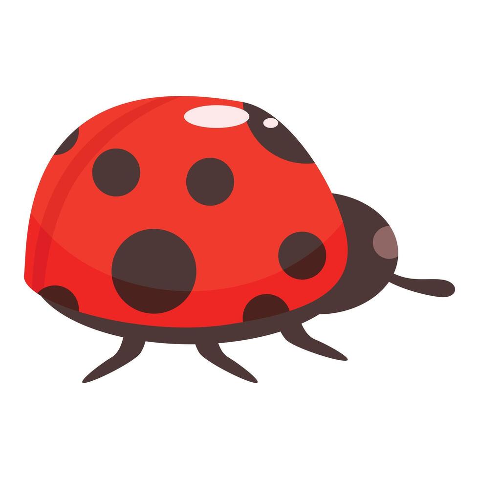 Red ladybug is walking on six legs vector