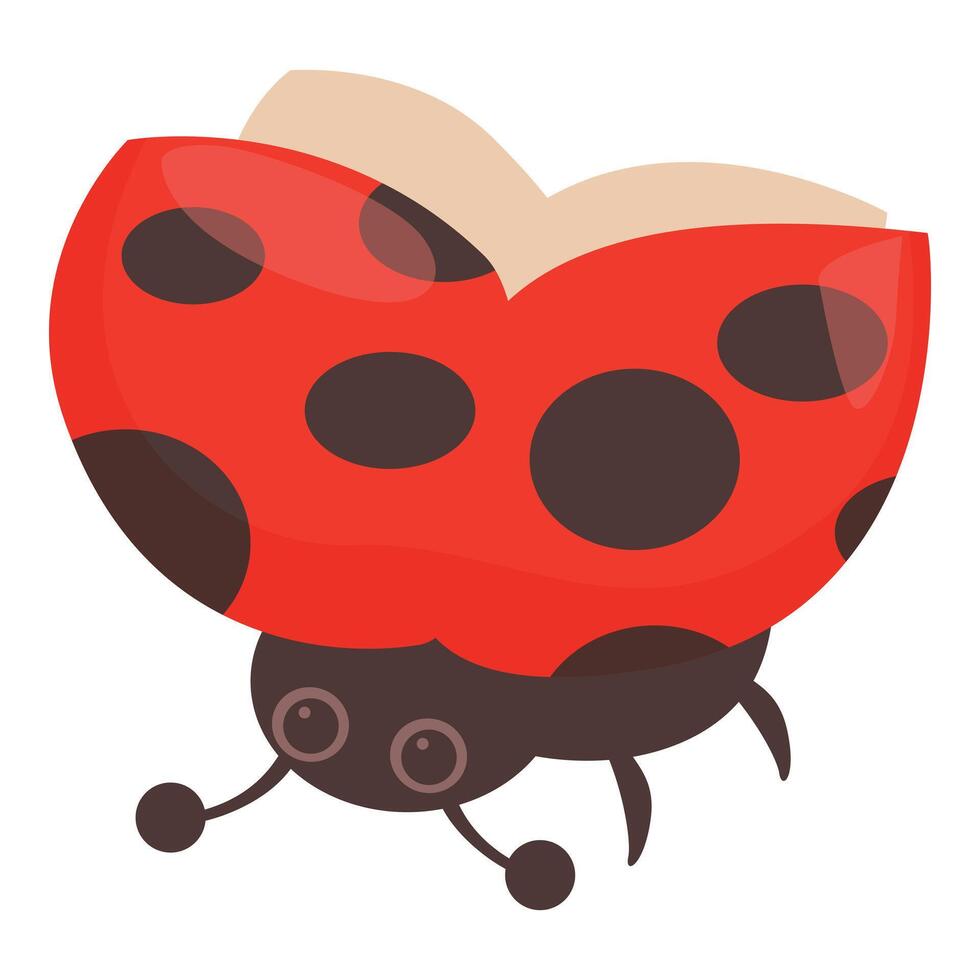 Red ladybug opening its shell flying in the air vector