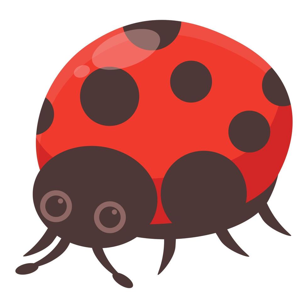 Cute ladybug crawling and showing its spots vector
