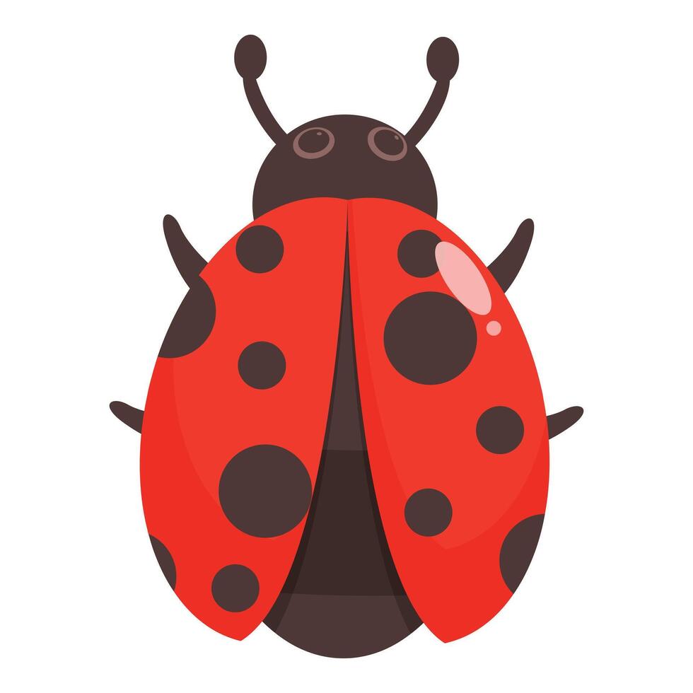 Cute ladybug standing with opened wings illustration vector