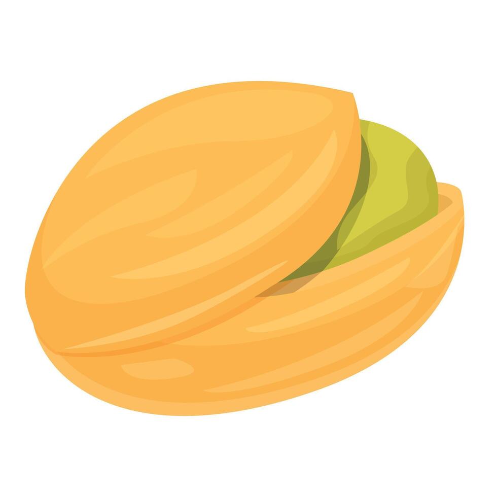 Single pistachio nut partially opened showing green seed vector