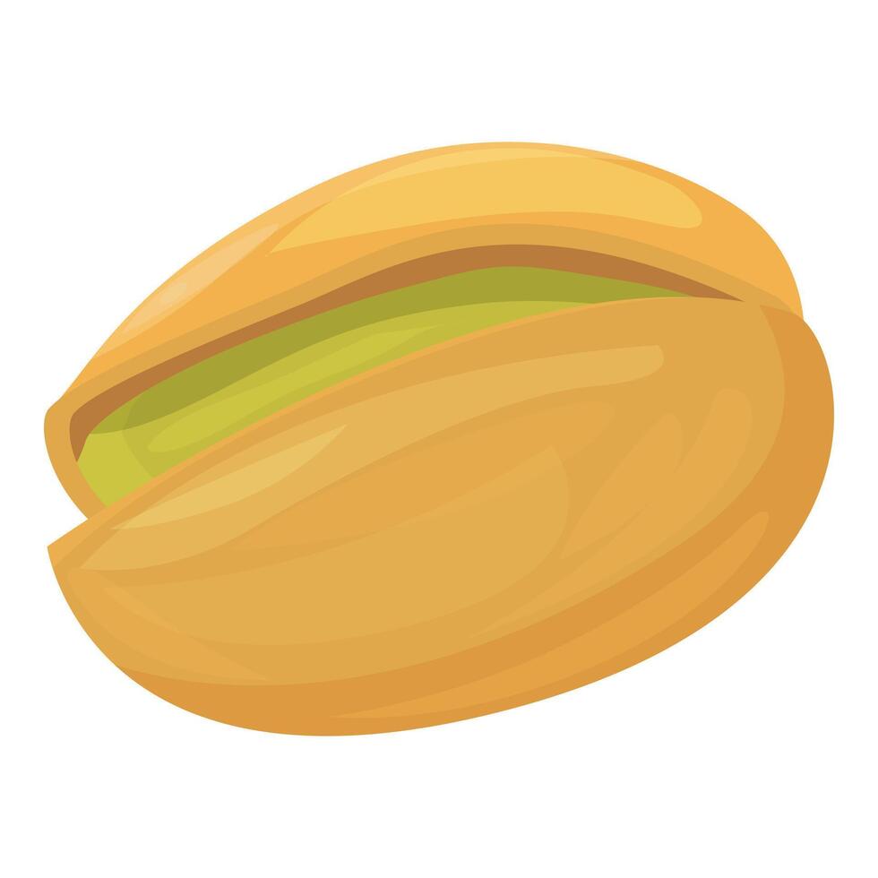 Single pistachio nut showing seed inside shell vector