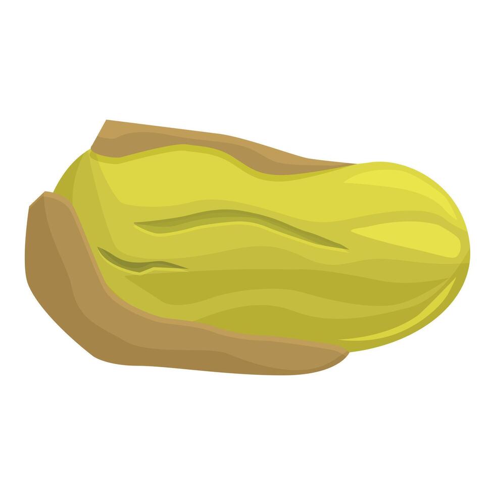Pistachio nut with open shell lying horizontally vector