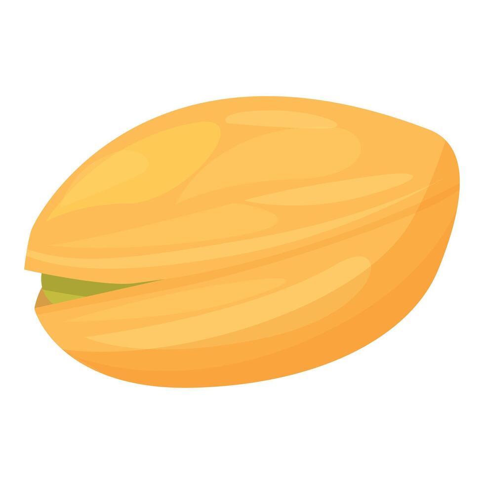 Single pistachio nut shell showing delicious green inside vector