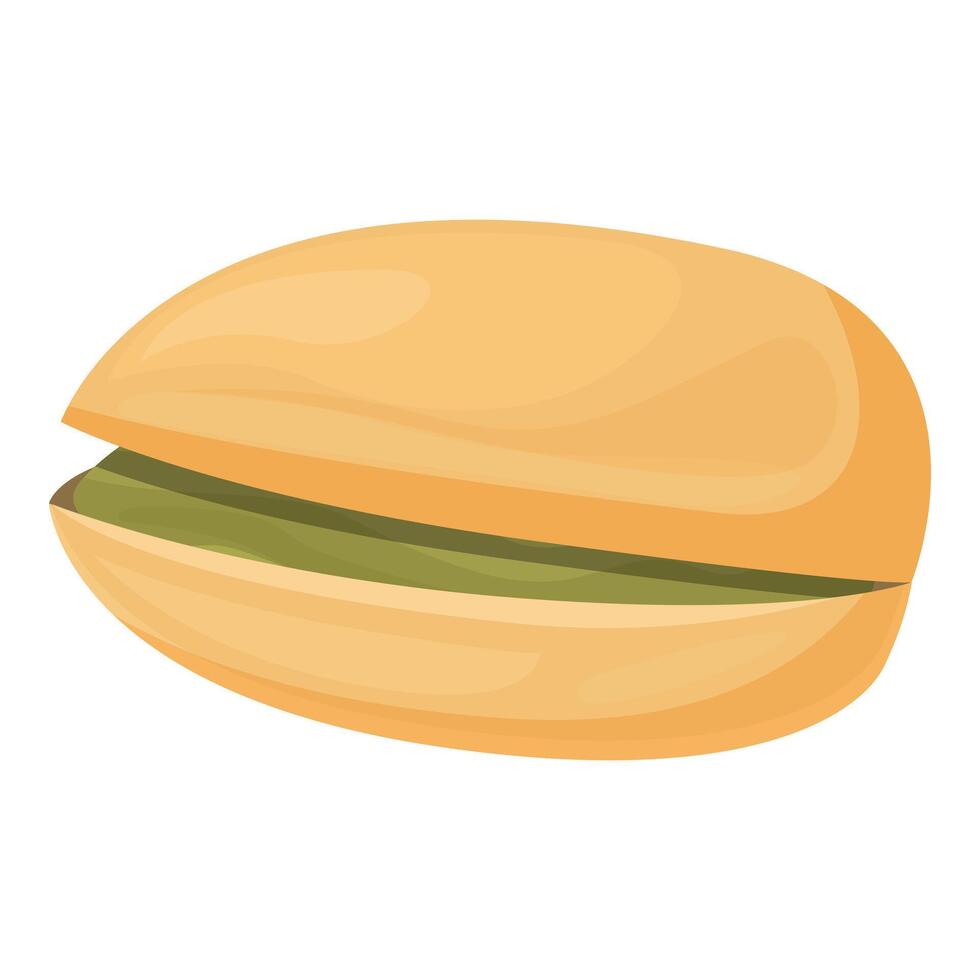 Single pistachio nut shell open showing seed vector