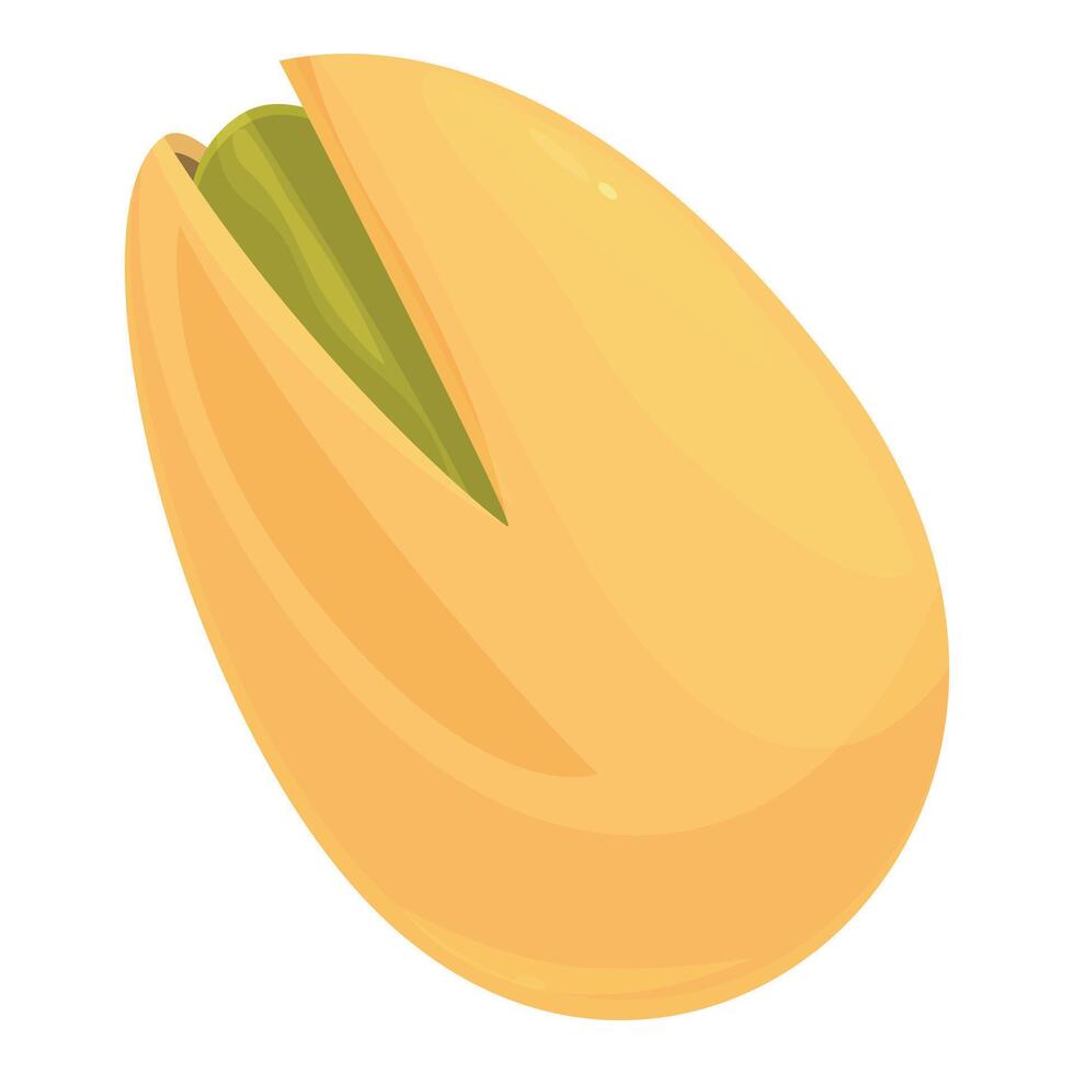 Single pistachio nut cracked open showing green seed vector