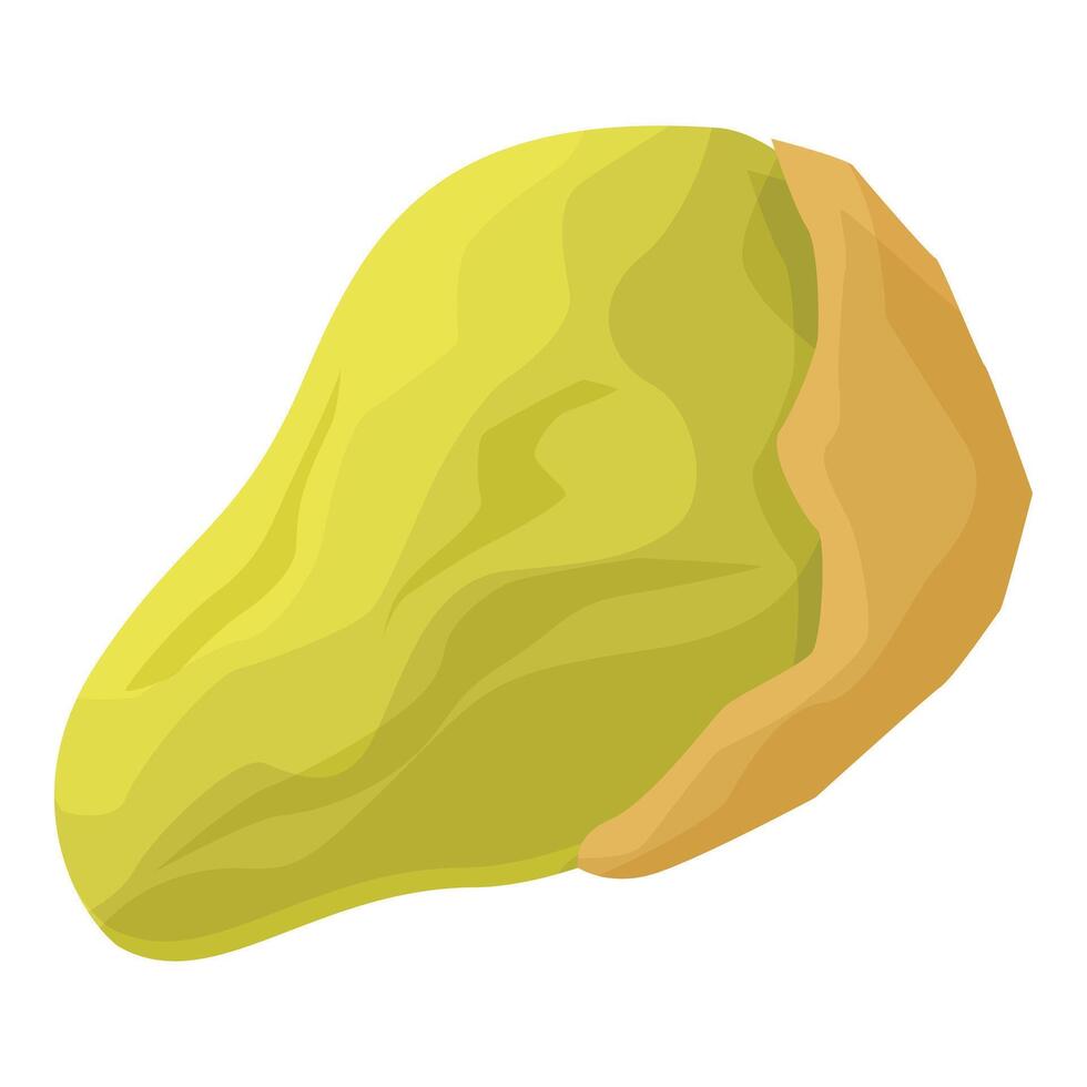 Half peeled green ripe avocado showing seed inside vector