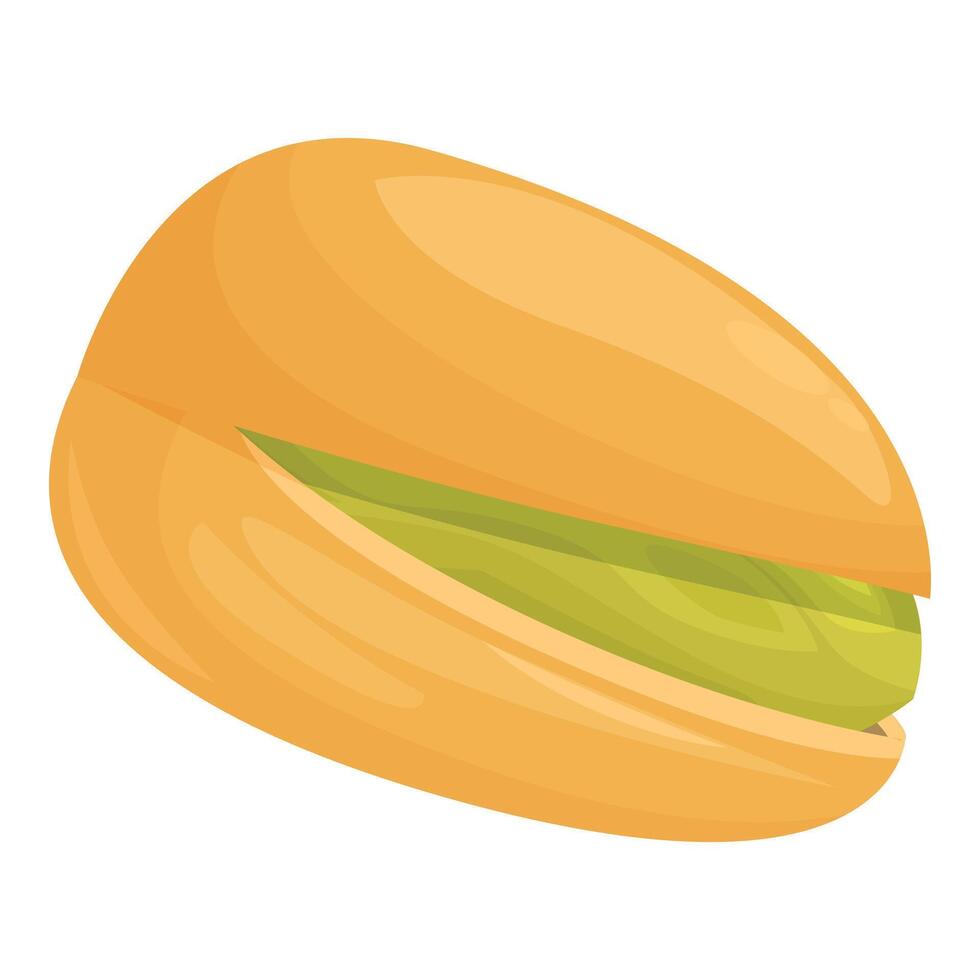 Pistachio nut showing seed inside shell vector