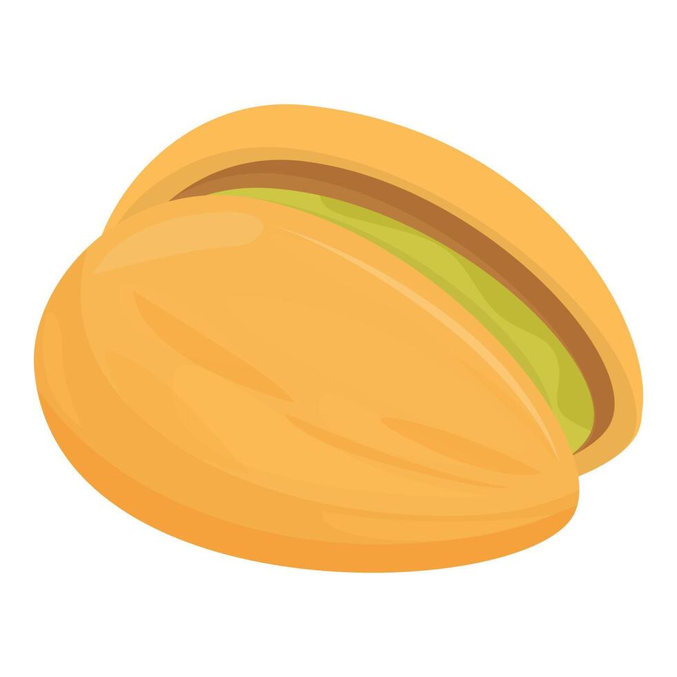 Half open pistachio showing nut inside shell vector