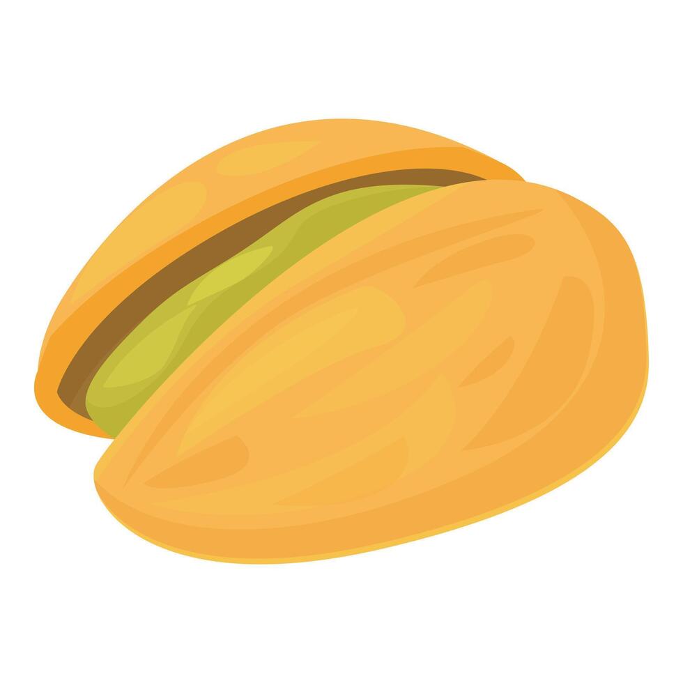 Half peeled pistachio showing nut inside shell vector