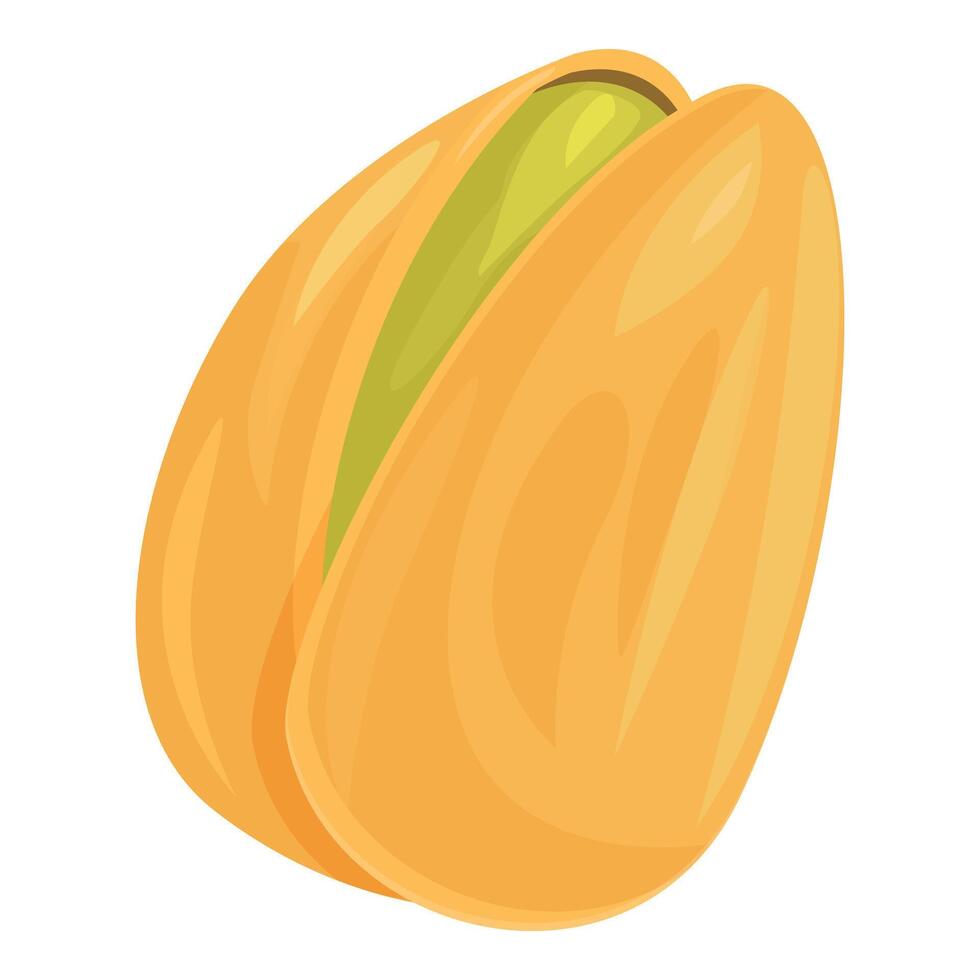 Ripe pistachio nut showing delicious kernel vector
