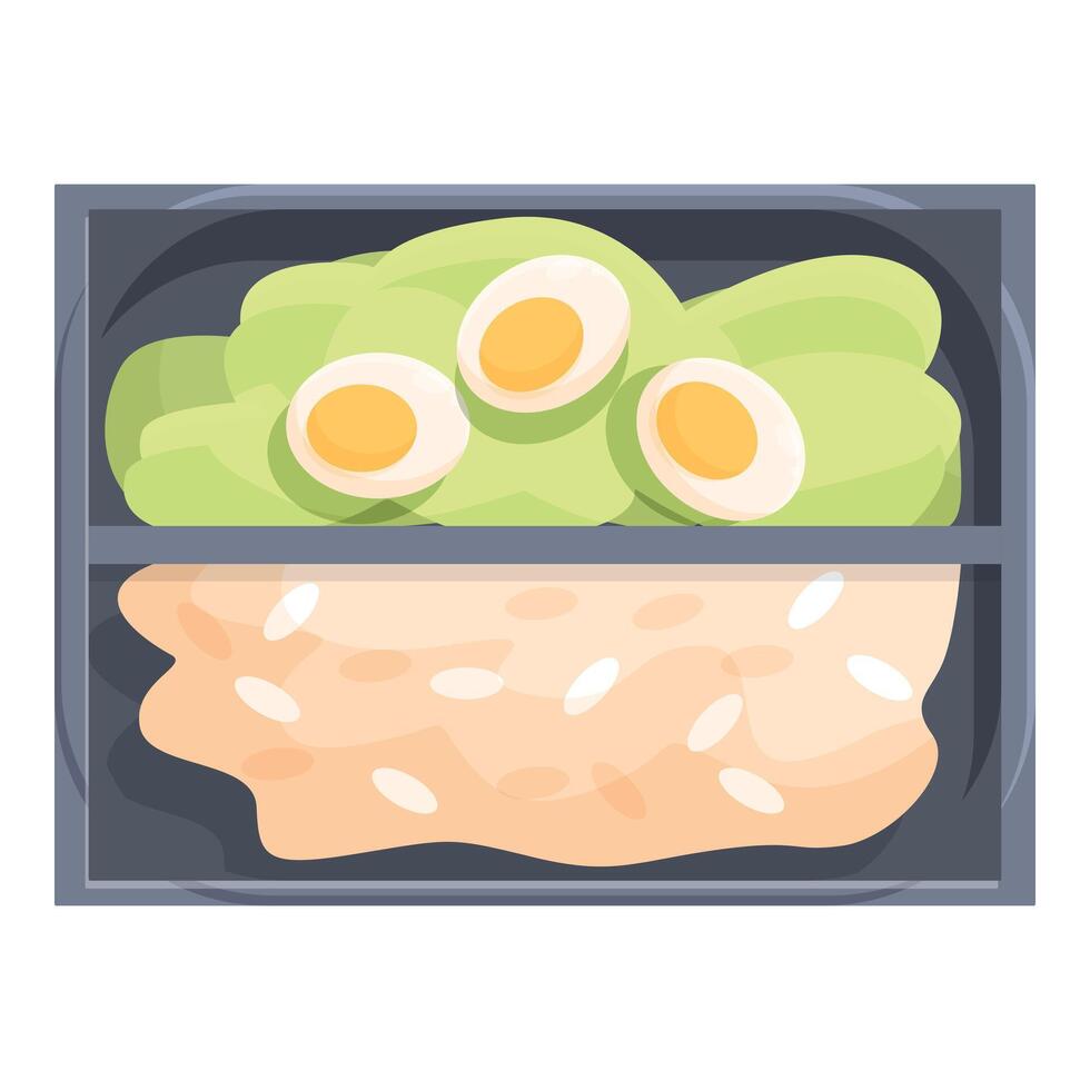 Lunchbox containing rice with sauce and sliced boiled eggs on salad vector