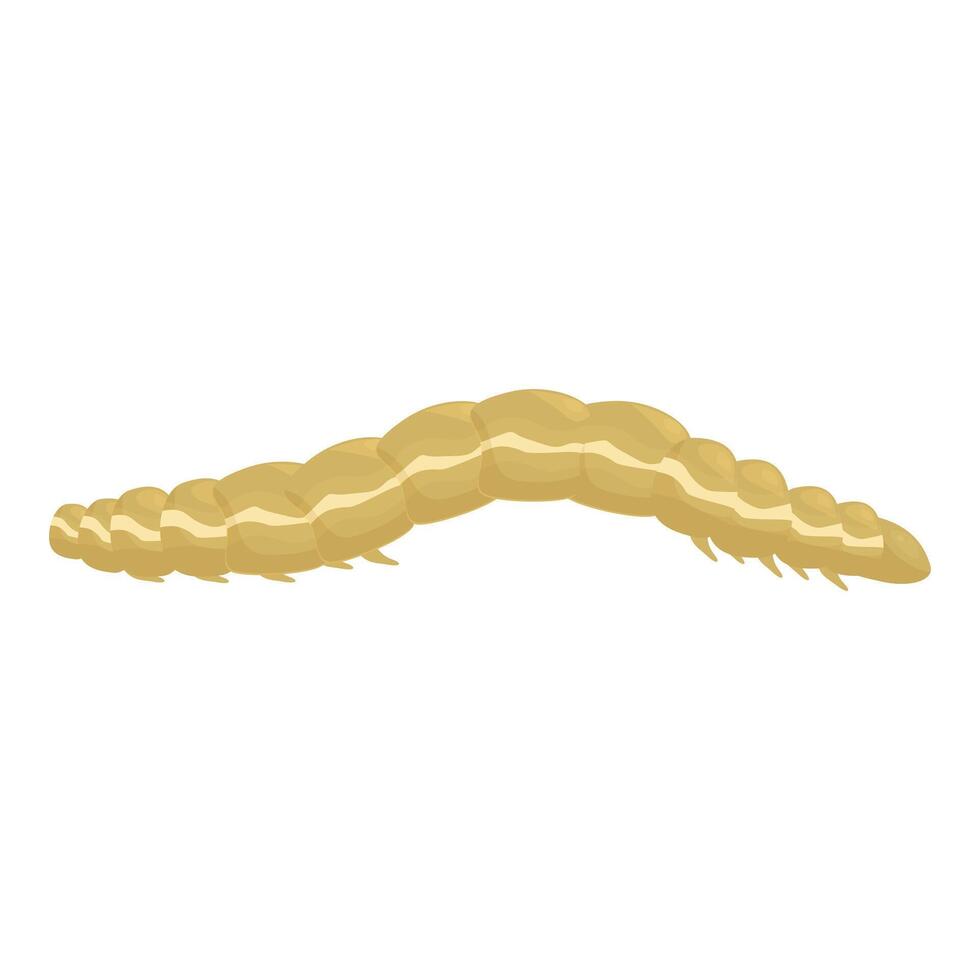 Wireworm larva crawling on white background vector