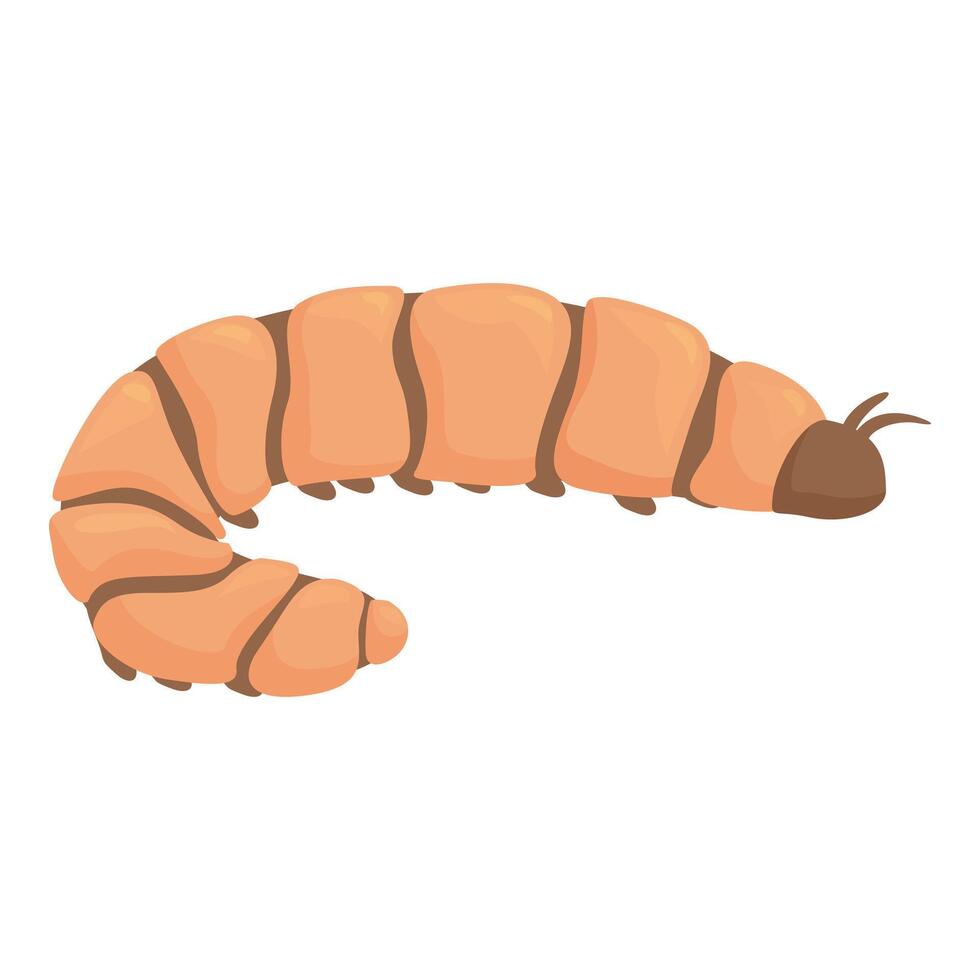 Mealworm larva crawling on white background vector