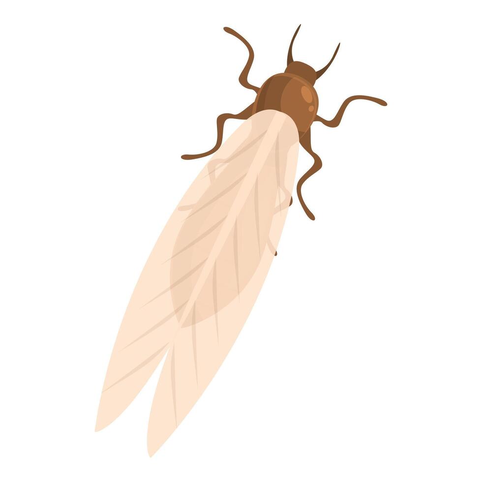 Flying termite insect spreading its wings on white background vector