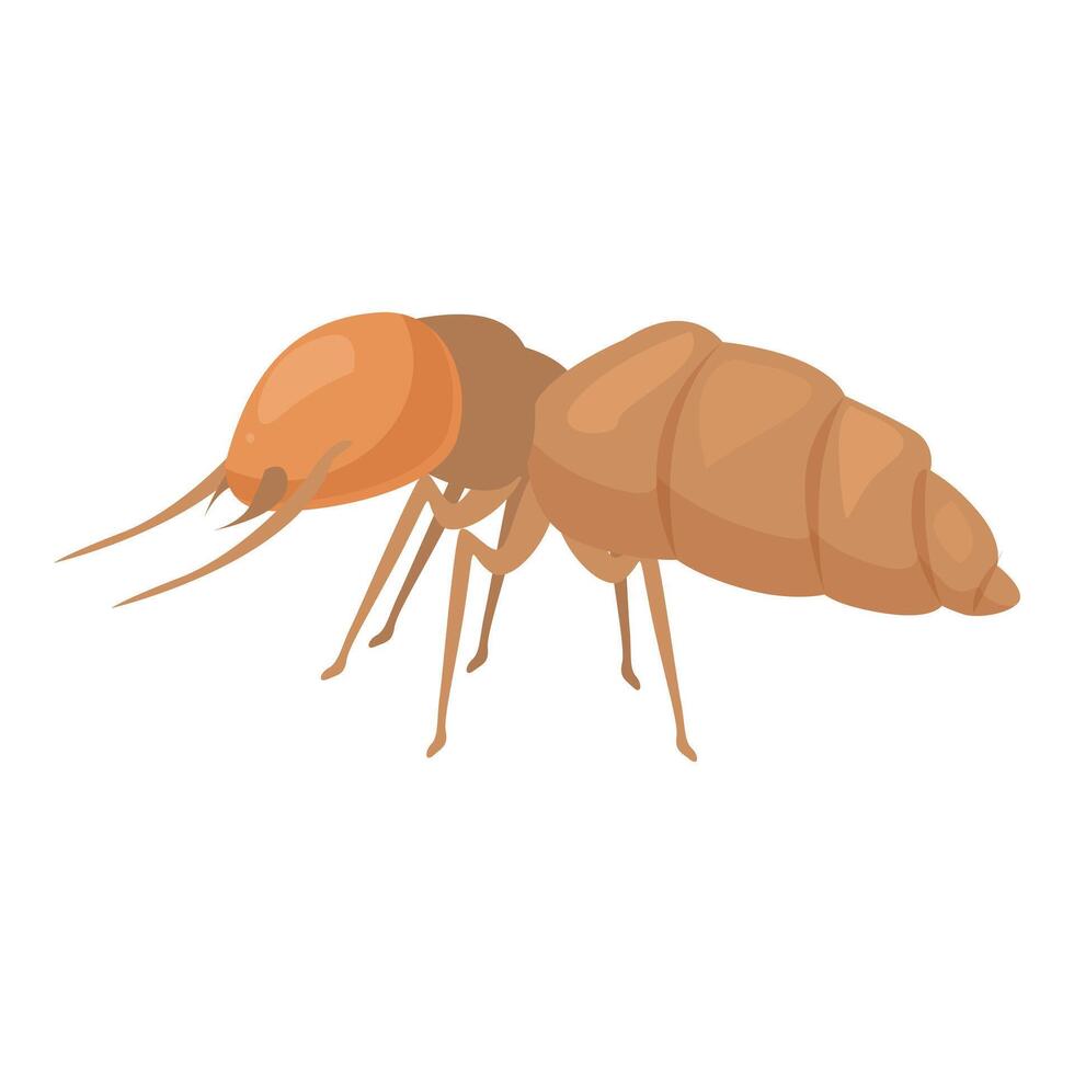 Termite walking and searching for food vector