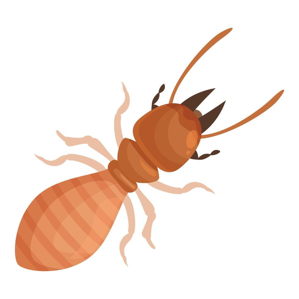 Big brown termite insect crawling showing its antennae vector