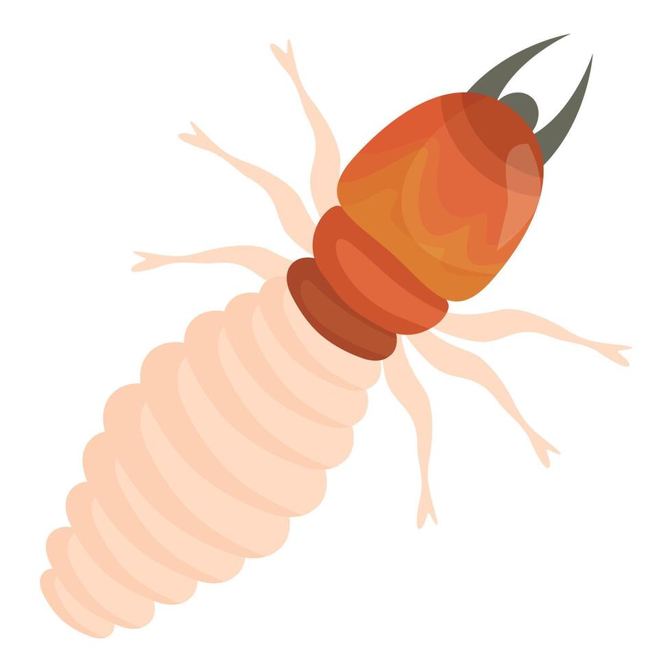 Dangerous termite insect crawling on white background vector