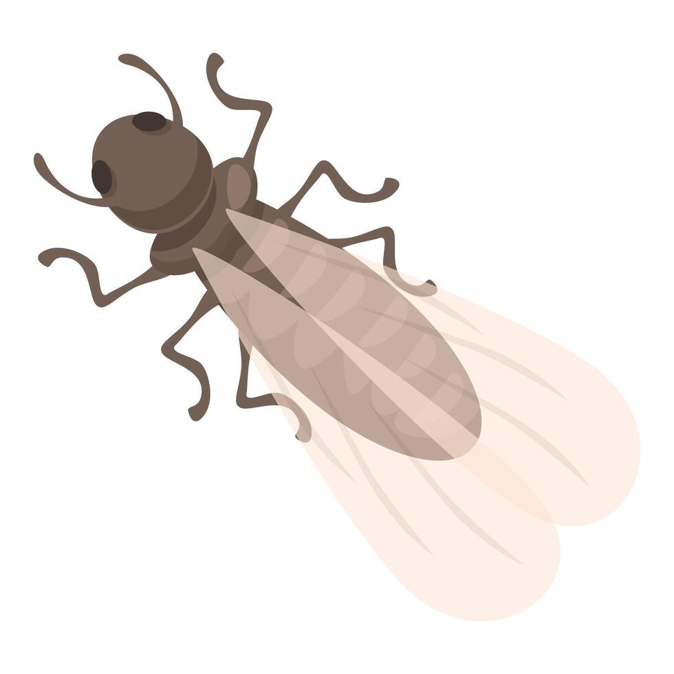 Flying termite spreading its wings on white background vector