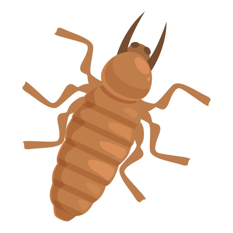 Brown termite is walking with its big antennas vector