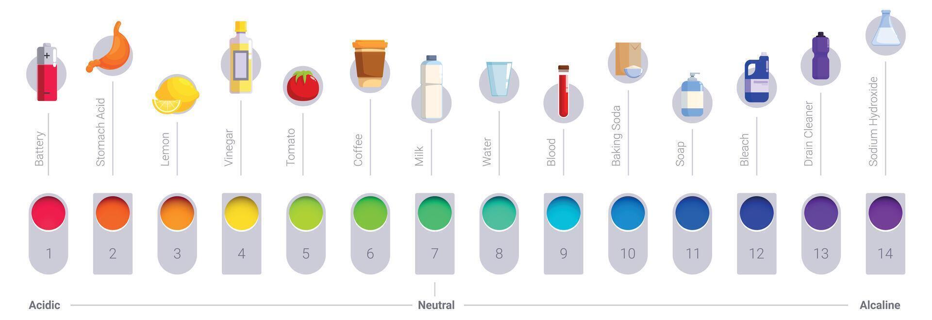 Ph scale icons set. Ph chart showing acidic alkaline levels of common substances vector