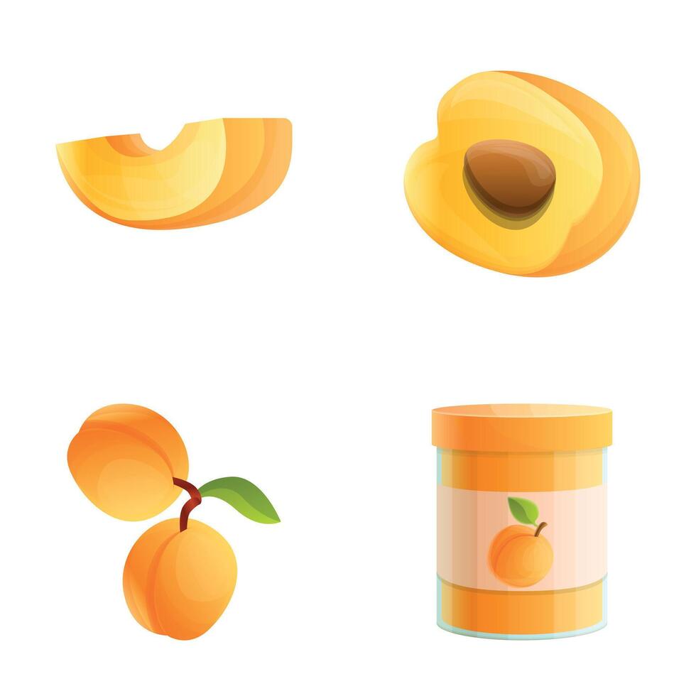 Apricot jam icons set cartoon . Dessert, sweet food vector