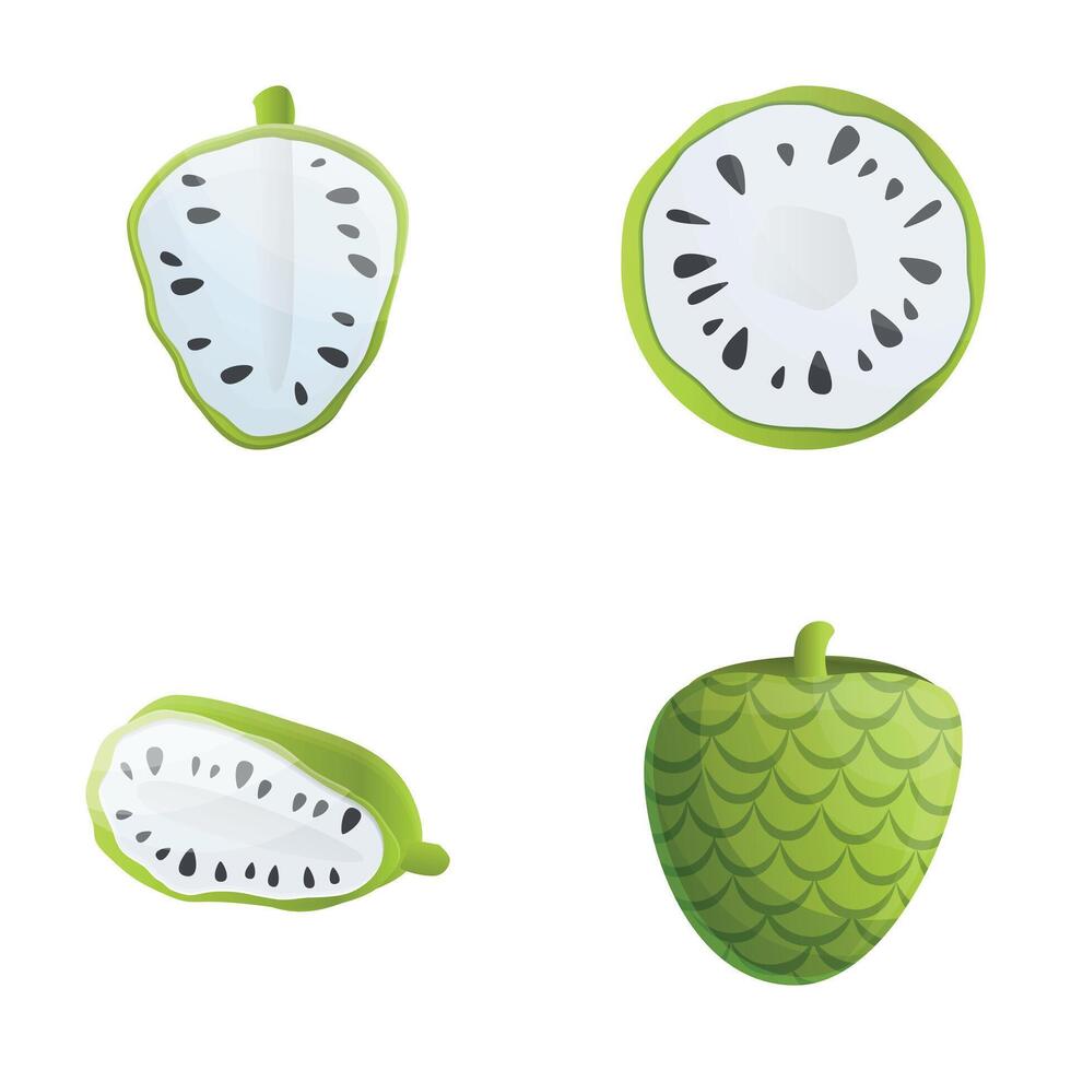 Sugar apple icons set cartoon . Fresh custard apple vector